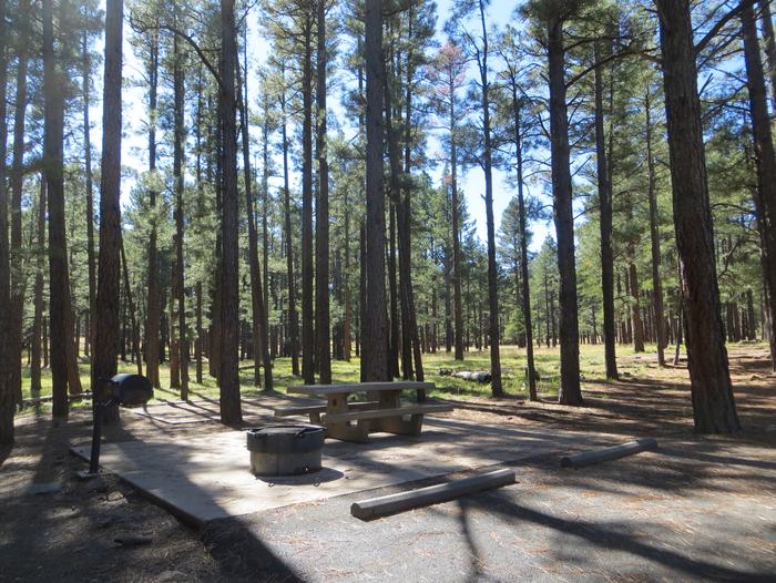 Pinegrove Campground site #31 featuring the wooded camping and picnic area. 