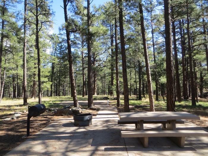 Pinegrove Campground site #32 featuring the wooded camping and picnic area. 
