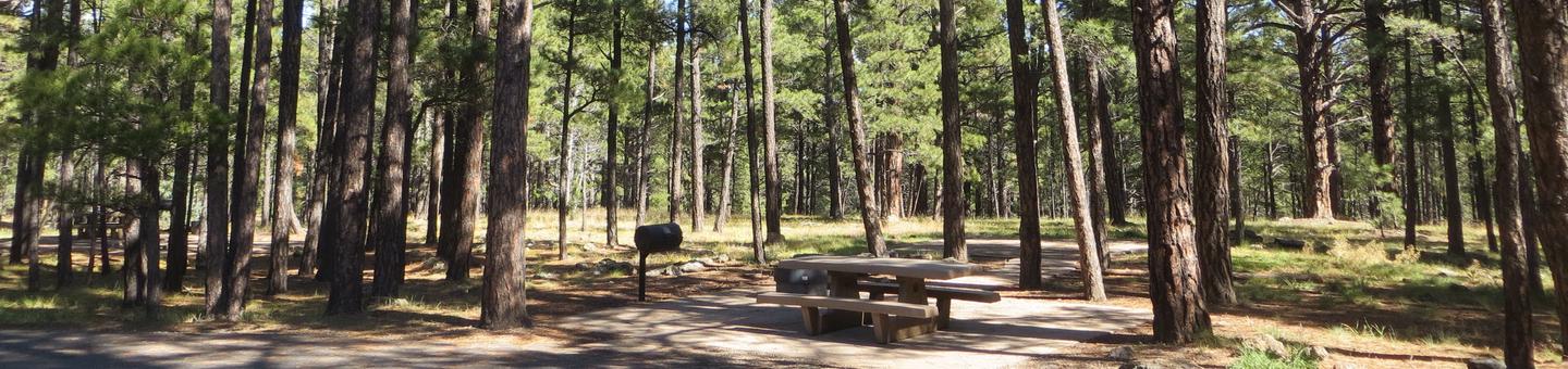 Pinegrove Campground site #32 featuring the wooded camping and picnic area. 