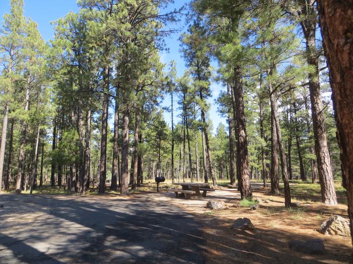 Pinegrove Campground site #32 featuring the parking space and the wooded camping and picnic area. 
