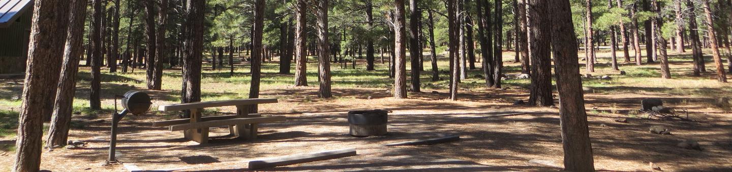 Pinegrove Campground site #33 featuring the wooded camping and picnic area. 