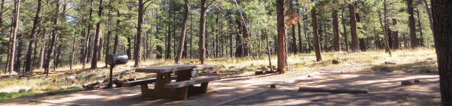 Pinegrove Campground site #34 featuring the parking space and the wooded camping and picnic area. 