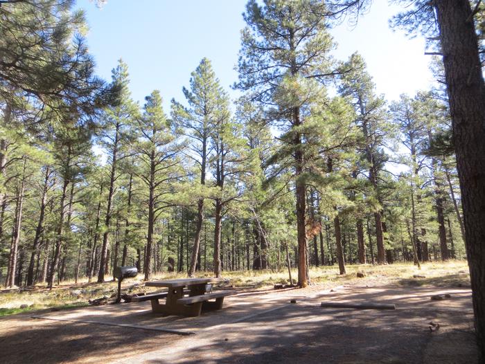 Pinegrove Campground site #34 featuring the parking space and the wooded camping and picnic area. 