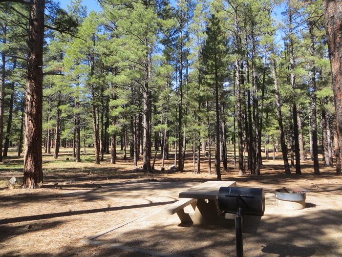 Pinegrove Campground site #35 featuring the parking space and the wooded camping and picnic area. 