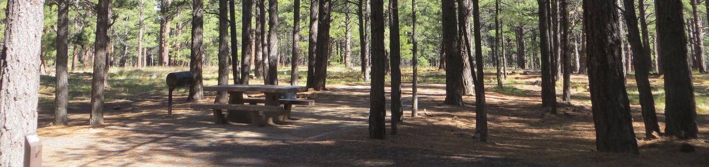 Pinegrove Campground site #36 featuring the parking space and the wooded camping and picnic area. 