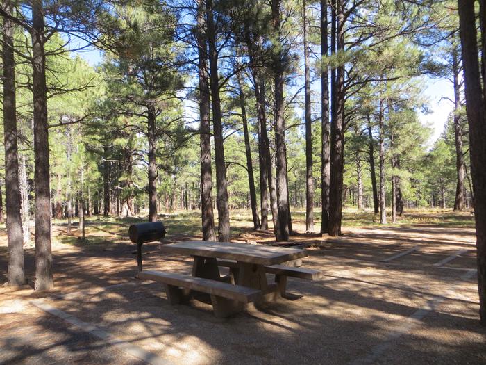 Pinegrove Campground site #36 featuring the wooded camping and picnic area. 