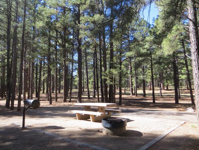 Pinegrove Campground site #37 featuring the wooded camping and picnic area. 