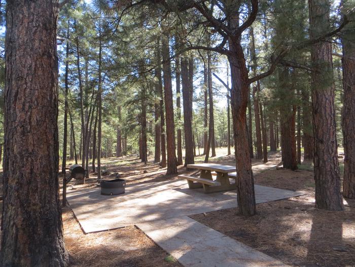 Pinegrove Campground site #39 featuring the wooded camping and picnic area. 
