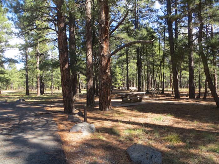 Pinegrove Campground site #39 featuring the parking space and the wooded camping and picnic area. 