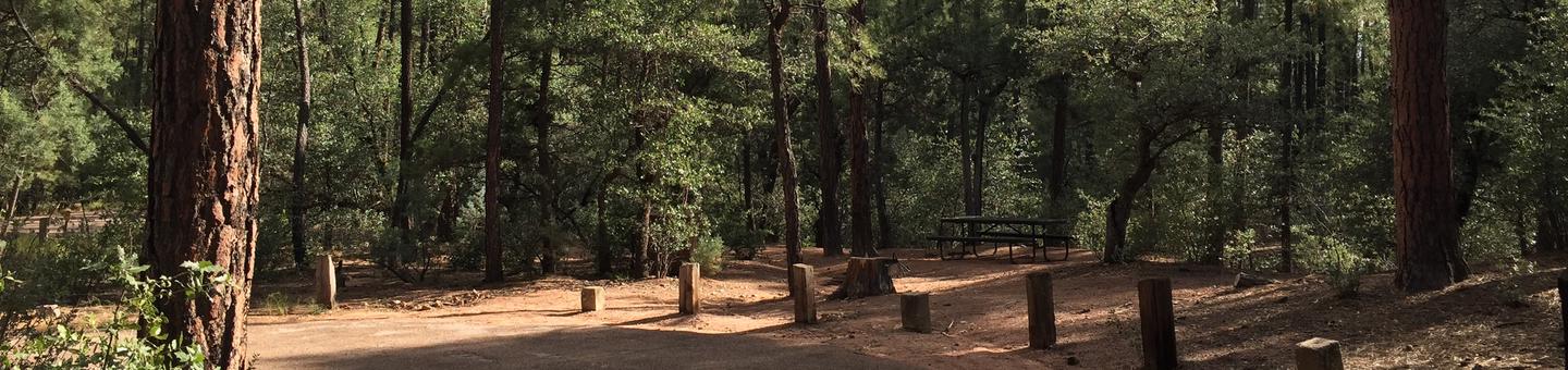 Ponderosa Campground site #A-04 featuring wooded camping space with picnic area and fire pit. 