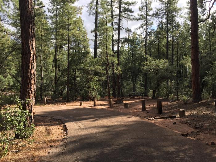 Ponderosa Campground site #A-04 featuring wooded camping space with picnic area and fire pit. 