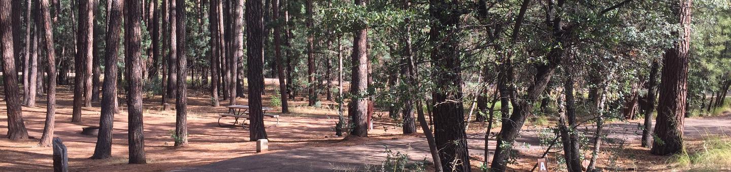 Ponderosa Campground site #A-05 featuring wooded camping space with picnic area and fire pit. 