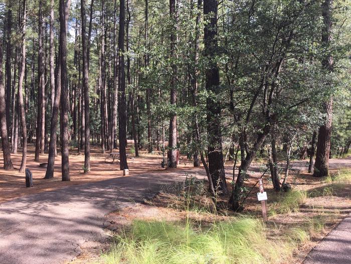 Ponderosa Campground site #A-05 featuring wooded camping space with picnic area and fire pit. 