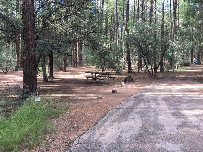 Ponderosa Campground site #A-06 featuring wooded camping space with picnic area and fire pit. 