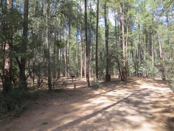 Ponderosa Campground site #A-07 featuring wooded camping space with picnic area and fire pit. 