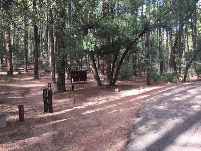 Ponderosa Campground site #A-08 featuring wooded camping space with picnic area and fire pit. 