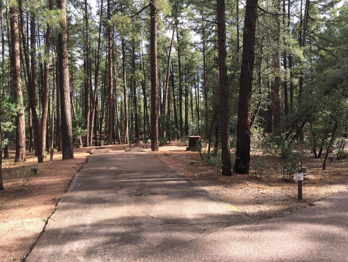 Ponderosa Campground site #A-09 featuring wooded camping space with picnic area and fire pit. 