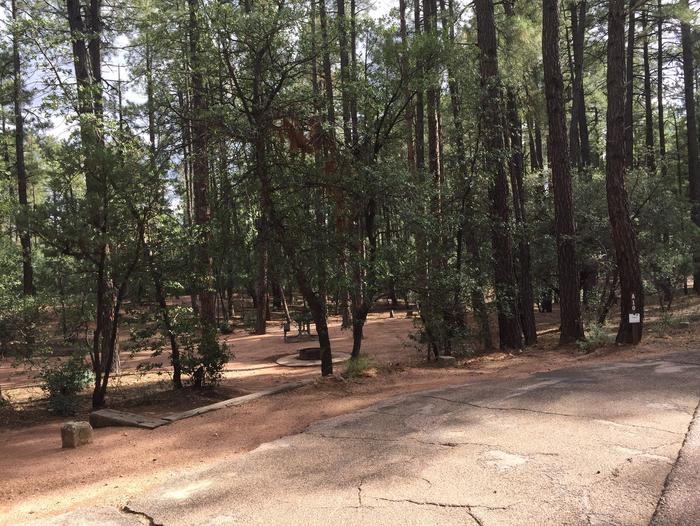 Ponderosa Campground site #A-10 featuring wooded camping space with picnic area and fire pit. 