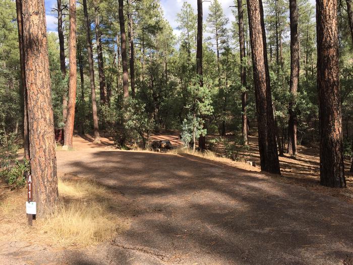 Ponderosa Campground site #A-11 featuring wooded camping space with picnic area and fire pit. 