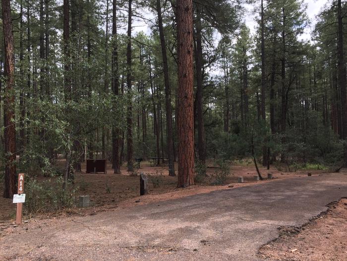 Ponderosa Campground site #A-14 featuring wooded camping space with picnic area and fire pit. 