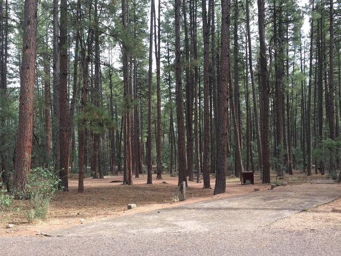 Ponderosa Campground site #A-16 featuring wooded camping space with picnic area and fire pit. 