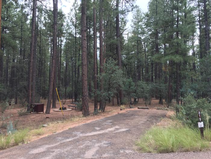 Ponderosa Campground site #A-19 featuring wooded camping space with picnic area and fire pit. 