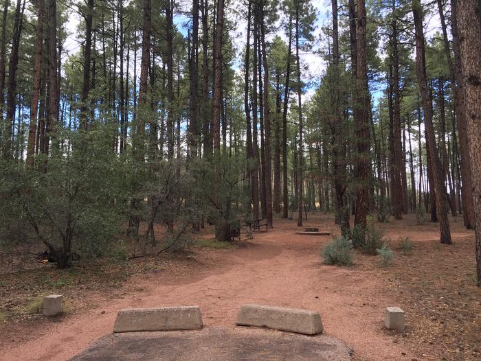 Ponderosa Campground site #A-21 featuring wooded camping space with picnic area and fire pit. 