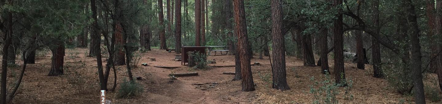 Ponderosa Campground site #A-23 featuring wooded camping space with picnic area and fire pit. 