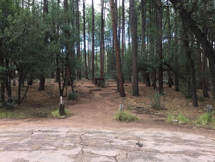 Ponderosa Campground site #A-23 featuring wooded camping space with picnic area and fire pit. 