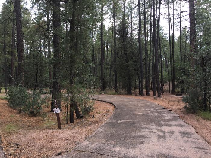 Ponderosa Campground site #B-01 featuring wooded camping space with picnic area and fire pit. 