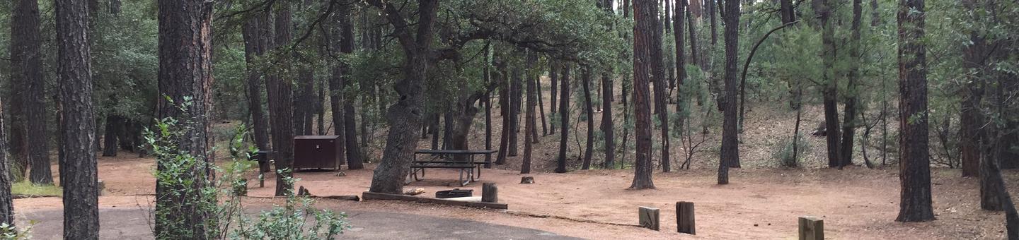 Ponderosa Campground site #B-02 featuring wooded camping space with picnic area and fire pit. 