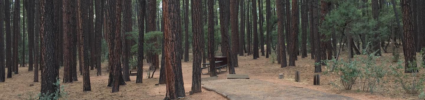Ponderosa Campground site #B-04 featuring wooded camping space with picnic area and fire pit. 