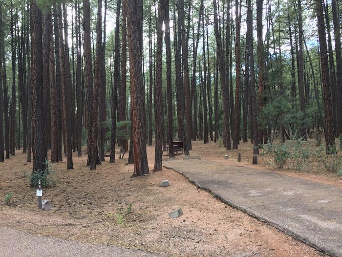 Ponderosa Campground site #B-04 featuring wooded camping space with picnic area and fire pit. 