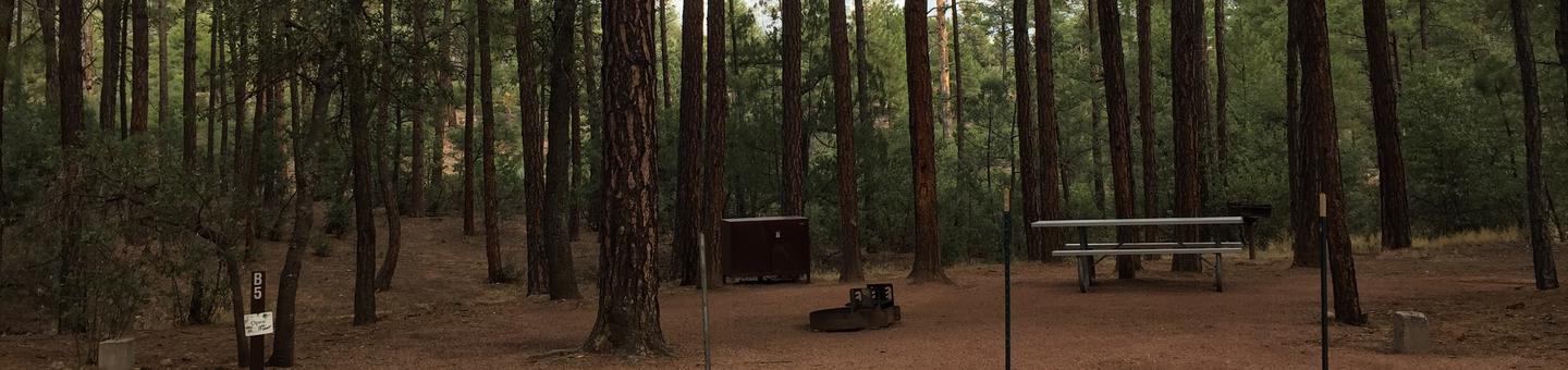 Ponderosa Campground site #B-05 featuring wooded camping space with picnic area and fire pit. 