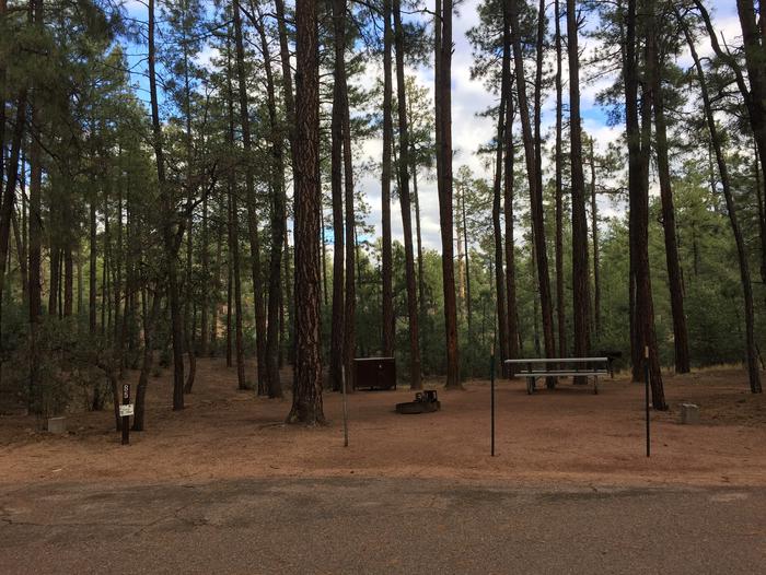 Ponderosa Campground site #B-05 featuring wooded camping space with picnic area and fire pit. 