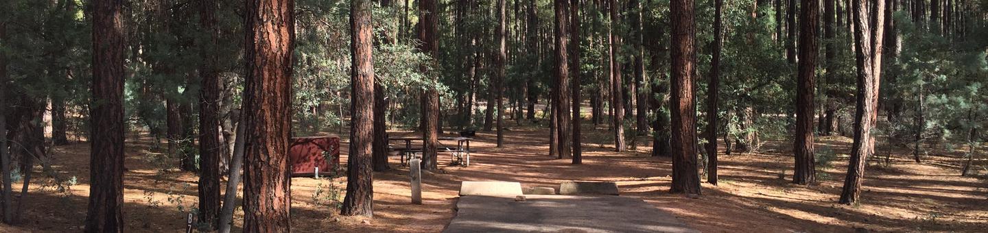 Ponderosa Campground site #B-07 featuring wooded camping space with picnic area and fire pit. 