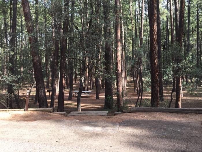 Ponderosa Campground site #B-06 featuring wooded camping space with picnic area and fire pit. 