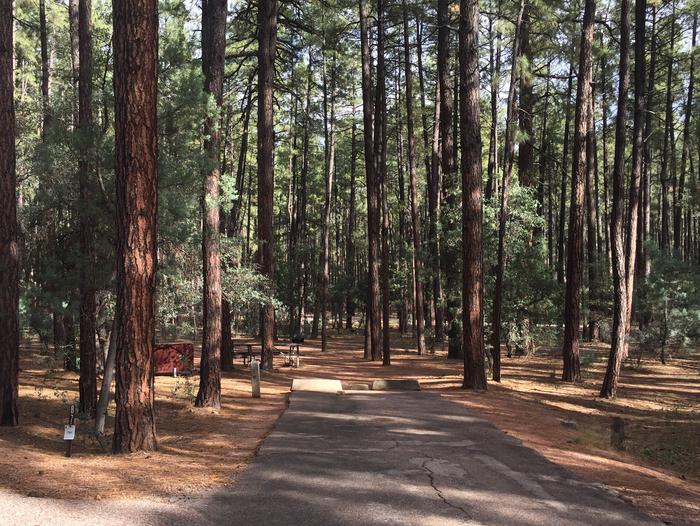 Ponderosa Campground site #B-07 featuring wooded camping space with picnic area and fire pit. 
