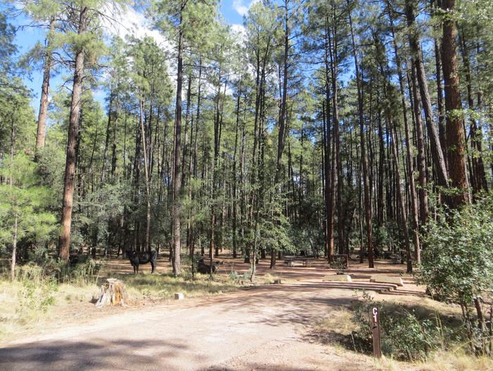 Ponderosa Campground site #C-01 featuring wooded camping space with picnic area and fire pit. 
