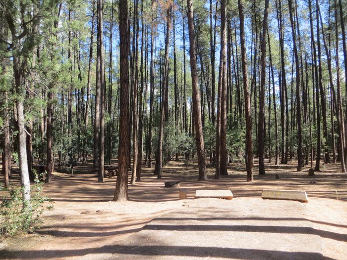 Ponderosa Campground site #C-02 featuring wooded camping space with picnic area and fire pit. 