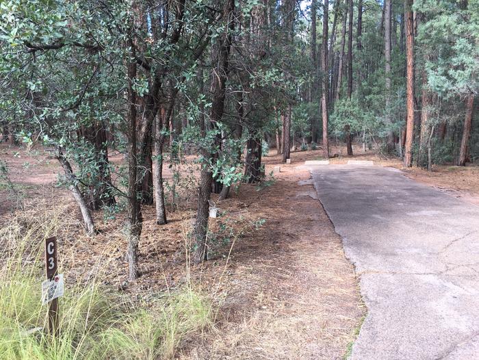 Ponderosa Campground site #C-03 featuring wooded camping space with picnic area and fire pit. 
