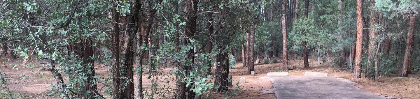 Ponderosa Campground site #C-03 featuring wooded camping space with picnic area and fire pit. 