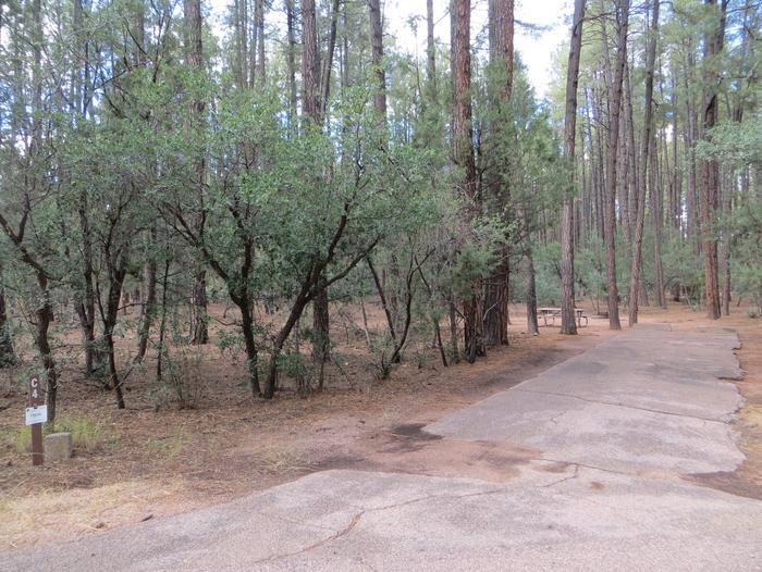 Ponderosa Campground site #C-04 featuring wooded camping space with picnic area and fire pit. 
