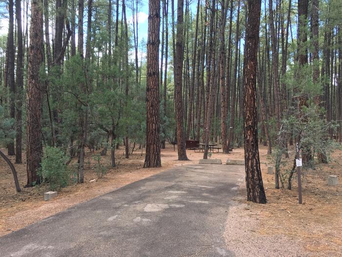 Ponderosa Campground site #C-05 featuring wooded camping space with picnic area and fire pit. 