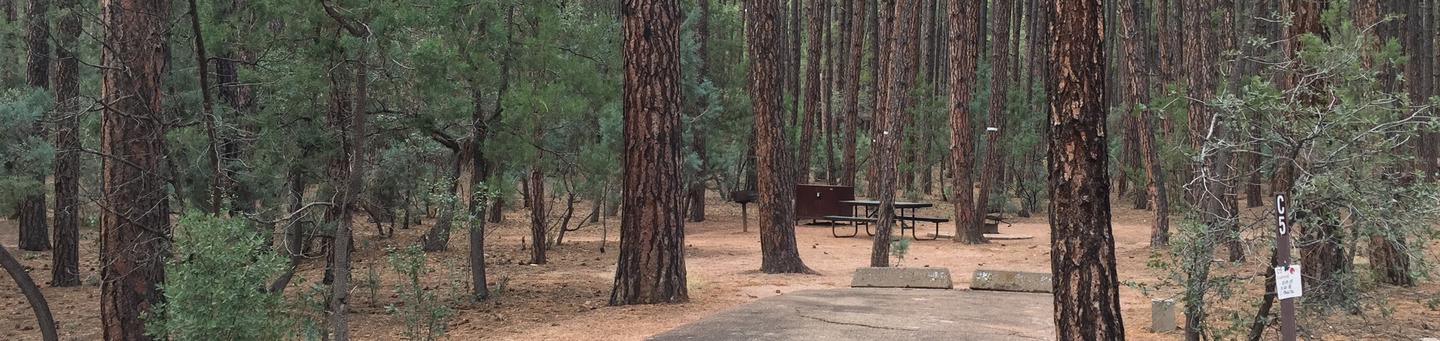 Ponderosa Campground site #C-05 featuring wooded camping space with picnic area and fire pit. 
