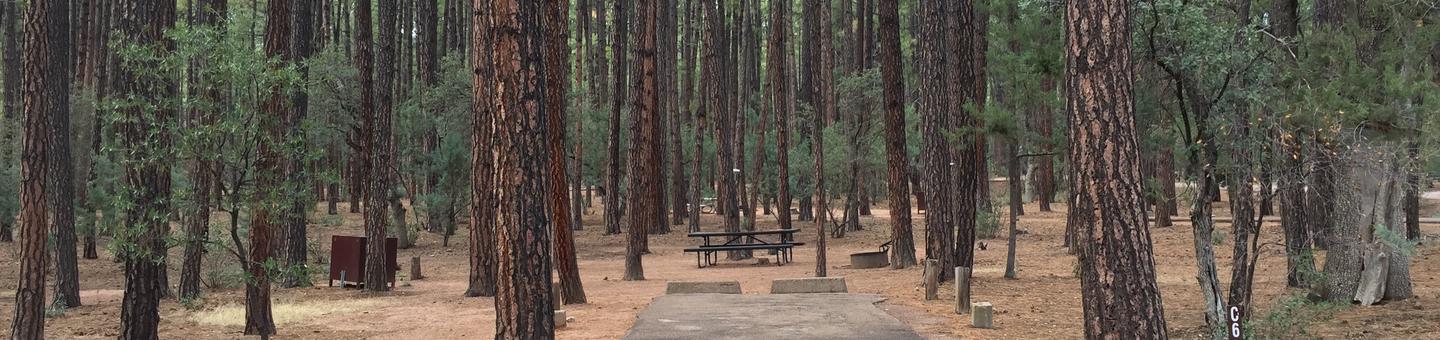 Ponderosa Campground site #C-06 featuring wooded camping space with picnic area and fire pit. 