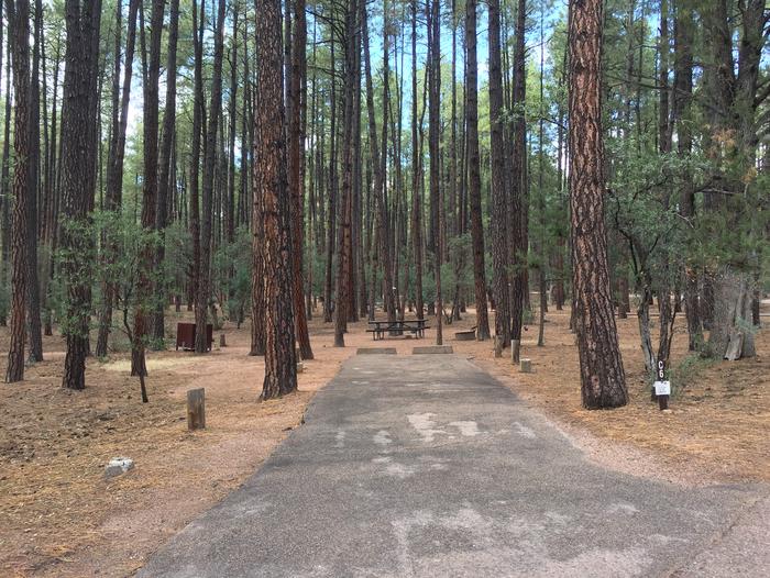 Ponderosa Campground site #C-06 featuring wooded camping space with picnic area and fire pit. 