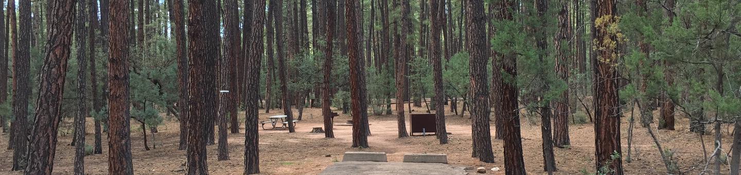Ponderosa Campground site #C-07 featuring wooded camping space with picnic area and fire pit. 