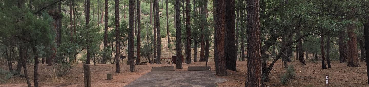 Ponderosa Campground site #C-08 featuring wooded camping space with picnic area and fire pit. 