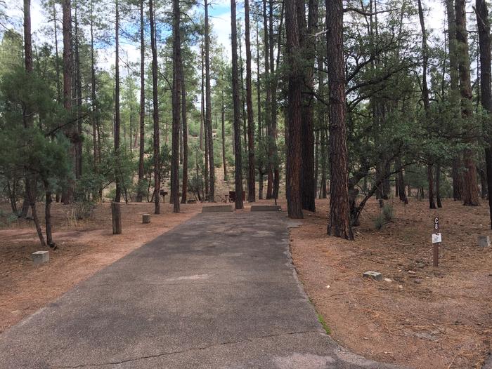 Ponderosa Campground site #C-08 featuring wooded camping space with picnic area and fire pit. 